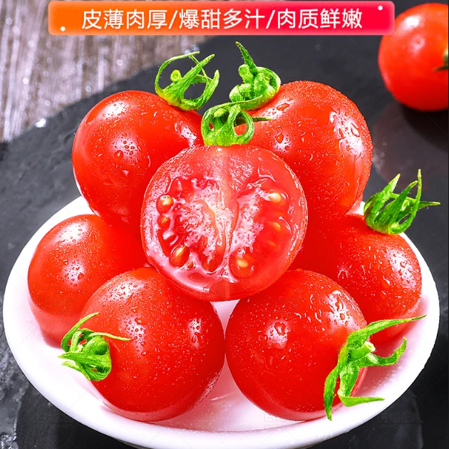 樱桃串小西红柿3-6斤