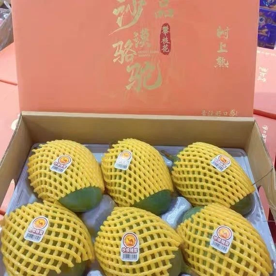 沙漠骆驼礼盒装带盒10斤