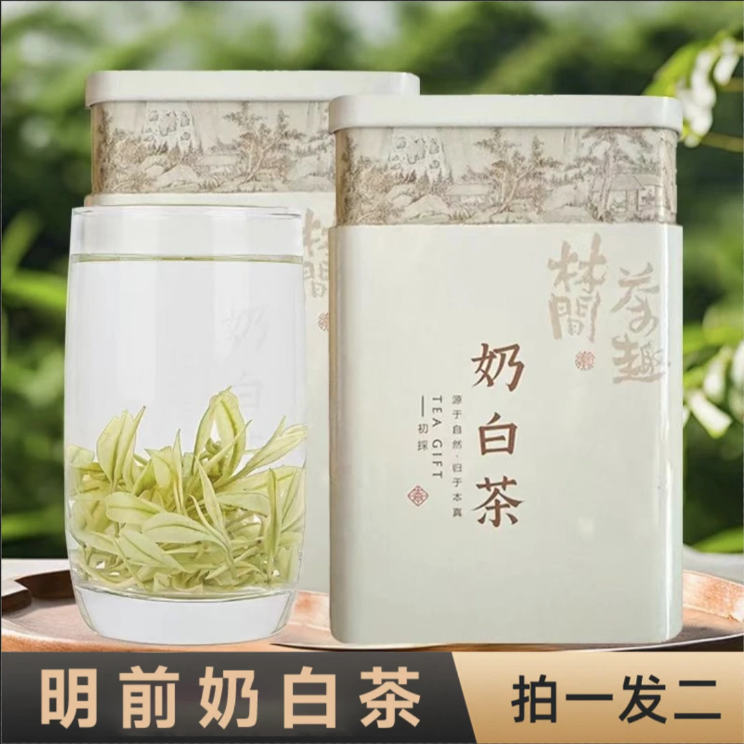 奶白茶2025年新茶安吉原产白化高山绿茶非黄金芽手工采摘明前春茶