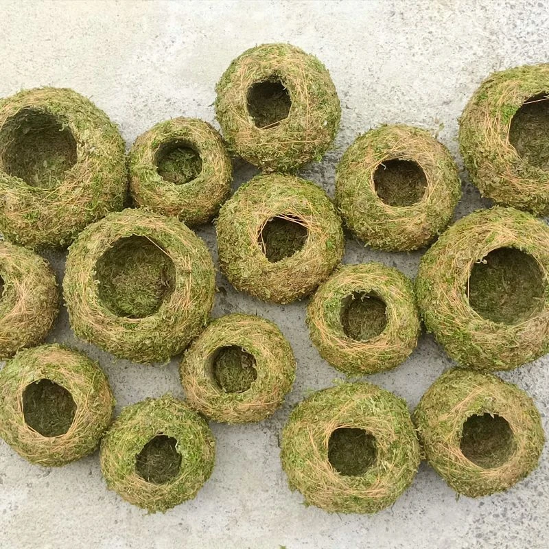 苔藓球创意花盆石斛种植盆微景观青苔盆栽趣味保湿花盆家居装饰盆