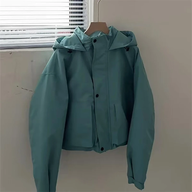 清560短款蓝色连帽羽绒服