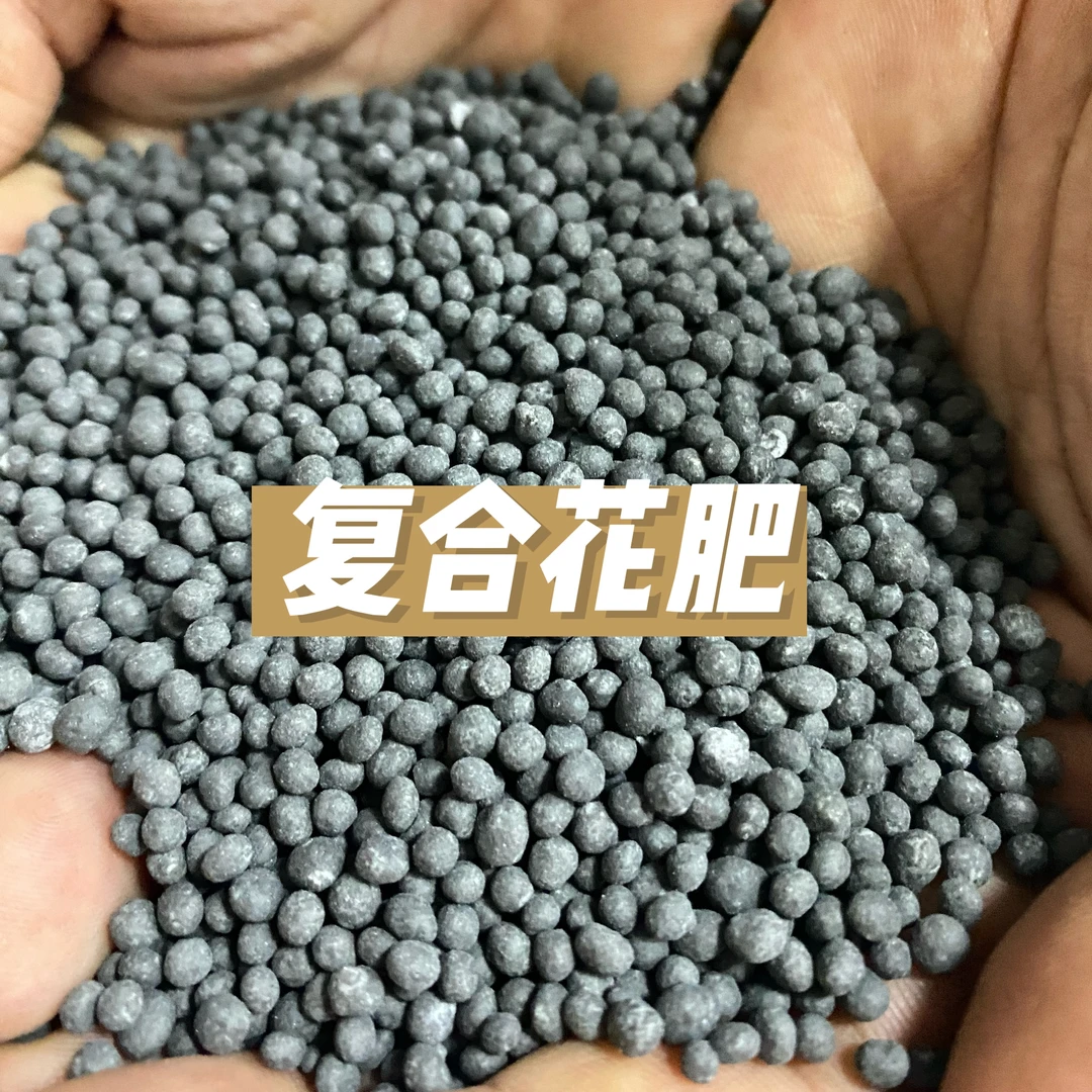 栀子花专用肥料缓释肥复合肥家用养花肥料有机壮苗融水生根适用