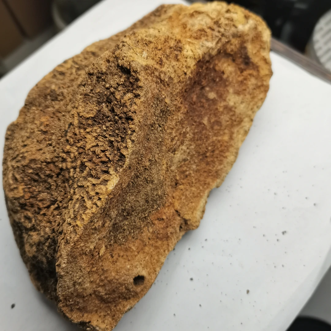 [雪~胆]云南初级农产品 可搭配 枸杞