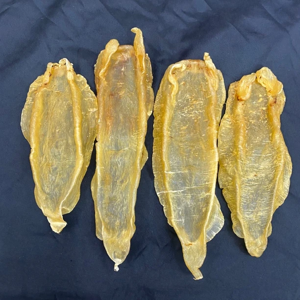 【隆盛滋补】尖尾北海母胶 1-500g（直播间现称魚胶）