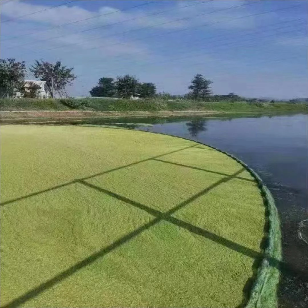 15米除污网拉青苔浮萍带浮条带铁链河道养殖除污打捞浮萍打捞漂浮