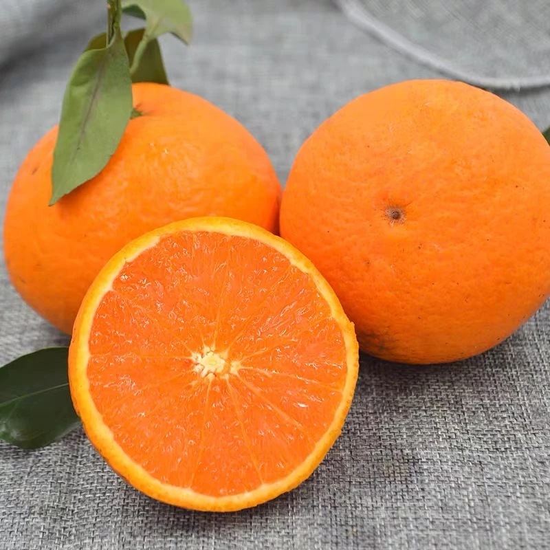 Z四川青见果冻橙柑橘4.5/8斤新鲜水果鲜嫩爆汁肉质细嫩饱满