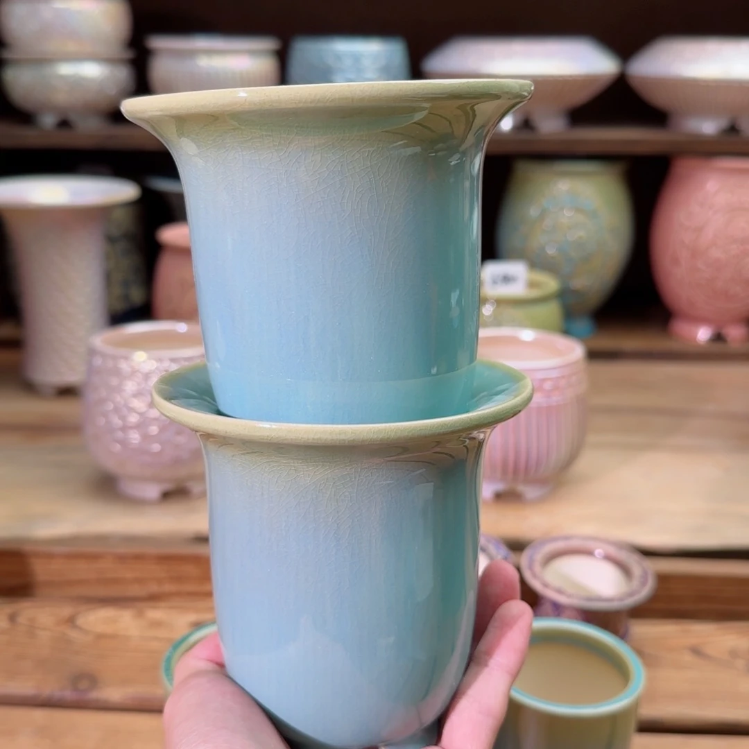 瓷片dy1022-037L福利一组两个