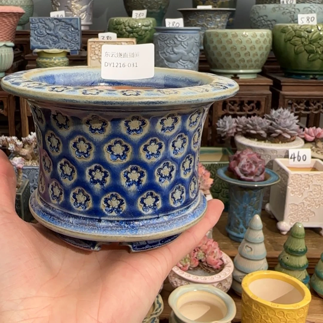 【闪购商品】陶瓷1216-奥**文31l