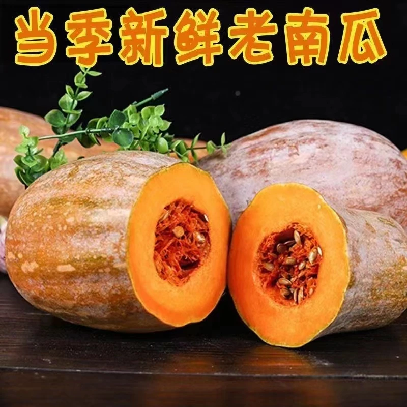 云南新鲜老南瓜农家自种老品种天然软糯香甜孕妇宝宝辅食营养好吃