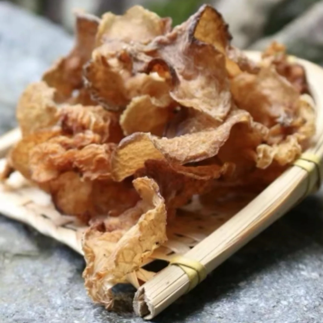 云南高原羊肚耳珍珠菌营养炖汤切片