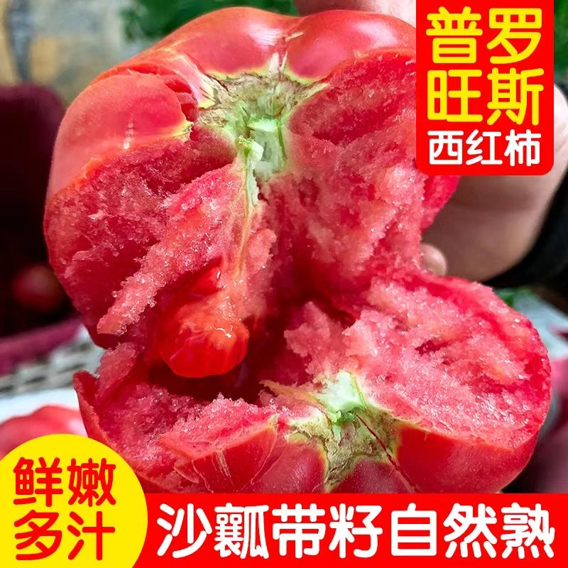普罗旺斯水果西红柿4.5斤新鲜自然现摘包邮沙瓤水果番茄农产品
