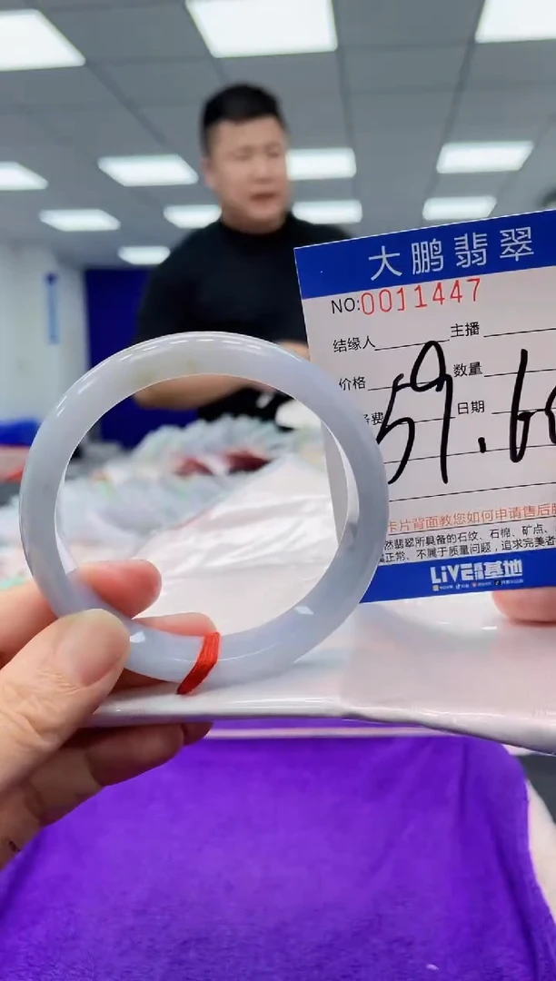 【闪购商品】翡翠手镯未镶嵌369多样性发其一