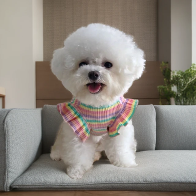 狗狗衣服夏季猫咪薄款泰迪比熊约克夏春夏装条纹T恤宠物狗连衣裙1