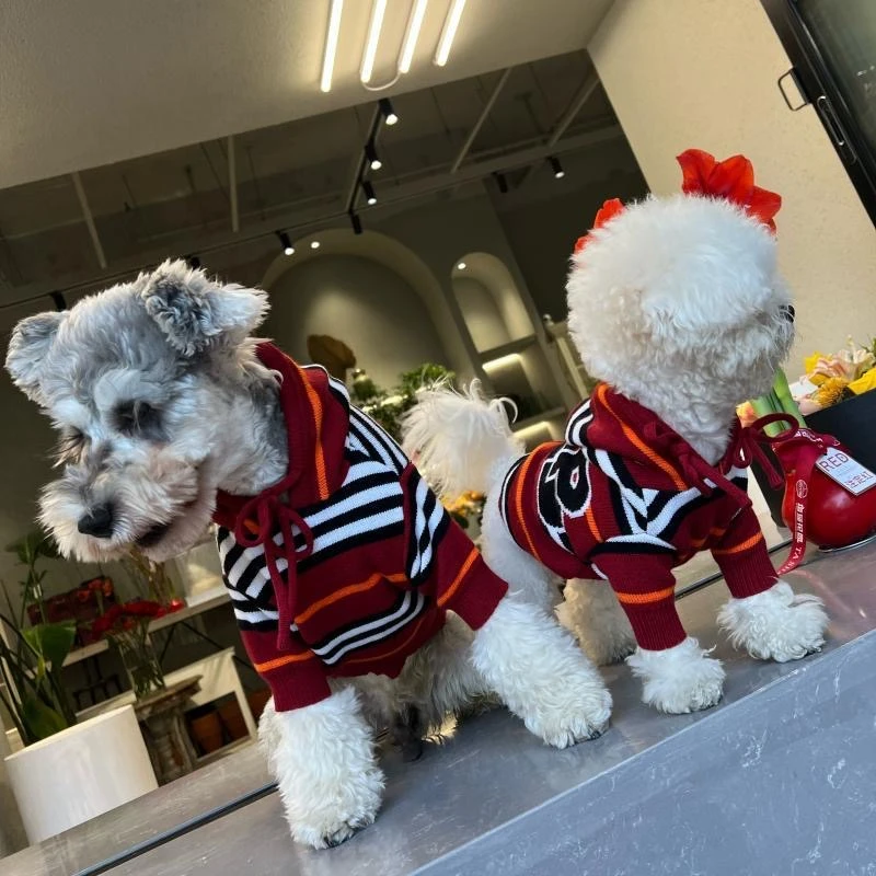 宠物秋冬针织带帽毛衣狗狗猫咪中小型犬防寒保暖衣服