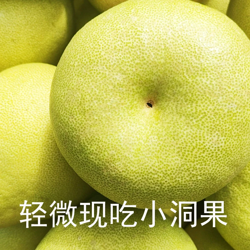 轻微小洞果仙游度尾文旦柚子礼盒装莆田福建