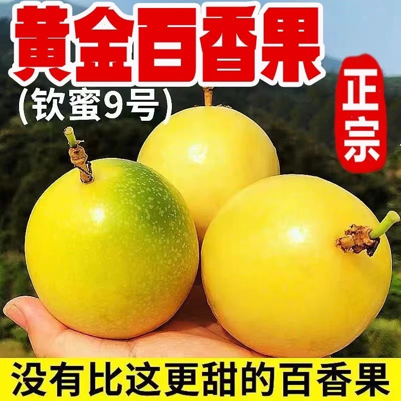 广西钦密9号黄金百香果新鲜水果香甜多汁3斤/5斤  带开果器
