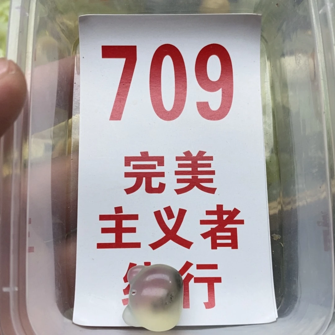 蛇纹石玉挂坠未镶嵌