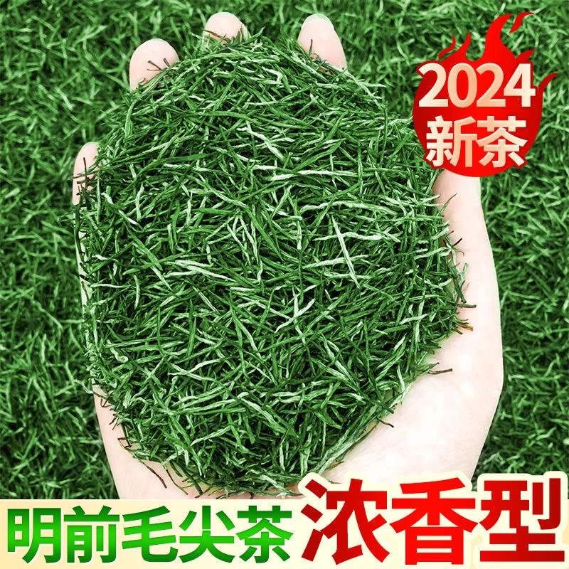 浓香绿茶2024信阳绿茶毛尖茶一级明前高山手工浓香口粮新茶耐泡型