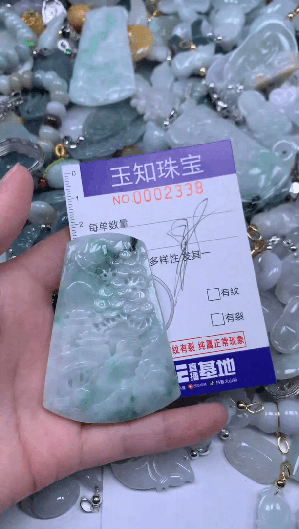 【闪购商品】翡翠颈饰未镶嵌期望2338