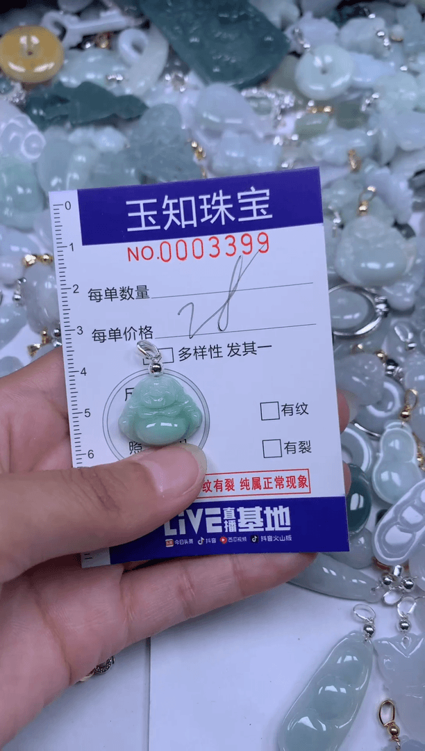 【闪购商品】翡翠颈饰未镶嵌3399期望