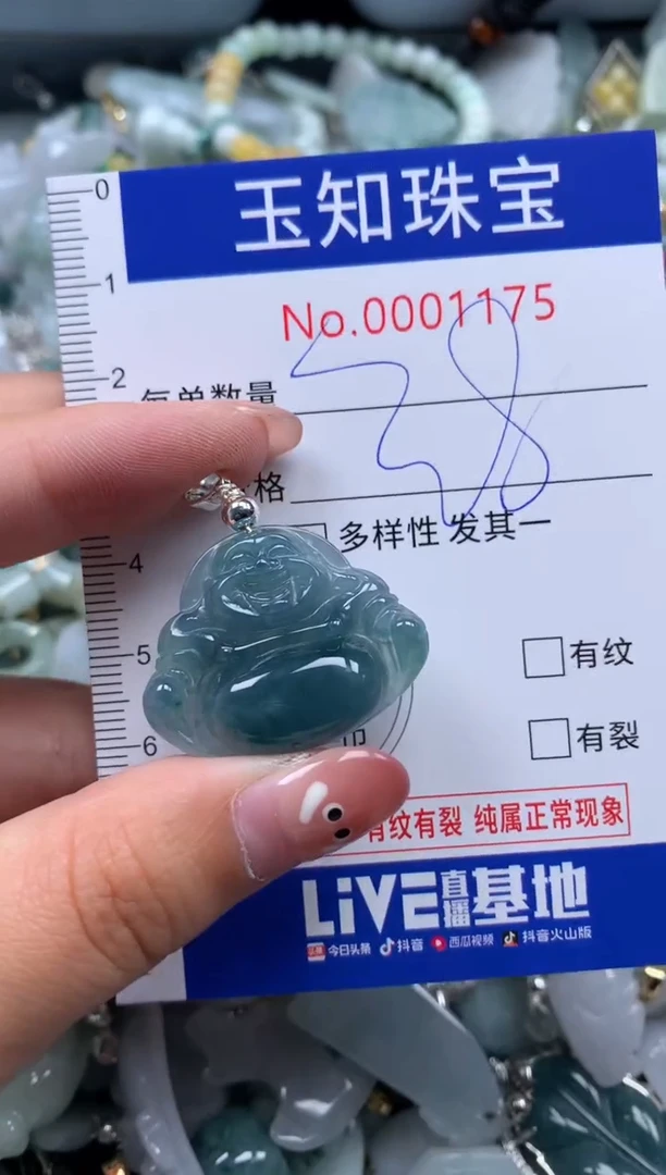 【闪购商品】翡翠颈饰未镶嵌配绳子1175
