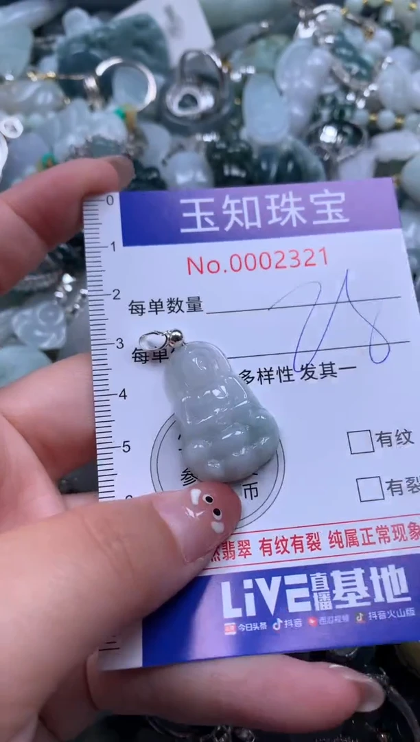【闪购商品】翡翠吊坠(赠链)未镶嵌配绳子2321