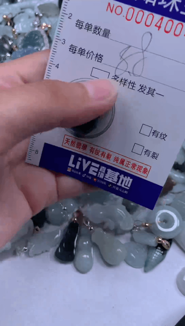 【闪购商品】翡翠颈饰未镶嵌4004去
