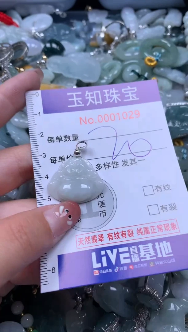 【闪购商品】翡翠吊坠(赠链)未镶嵌配绳子1029