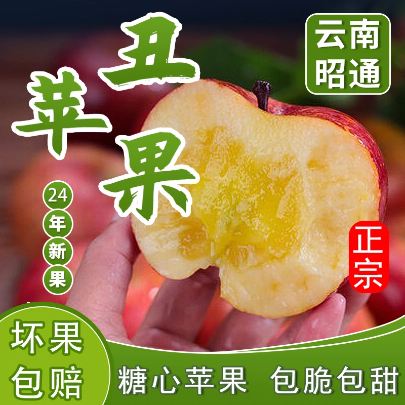 昭通苹果【买5斤送3斤】正宗丨冰糖心丑苹果丨现摘现发、包脆包甜!