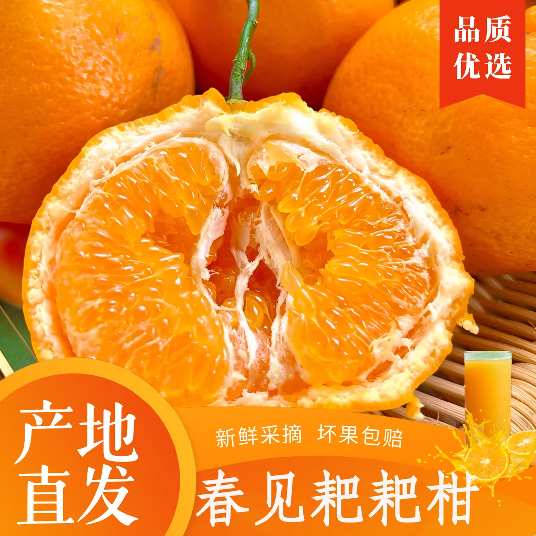 【春见耙耙柑】正宗四川耙耙柑当季新鲜应季水果产地现摘春见耙耙柑