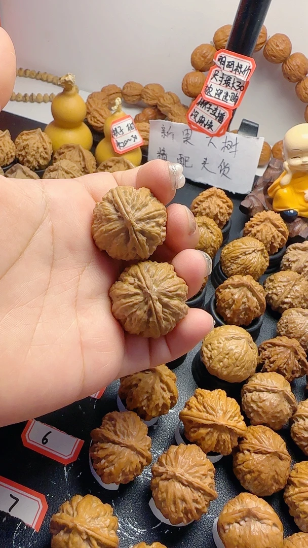 新果粗筋小苹果～～野生楸子手捻