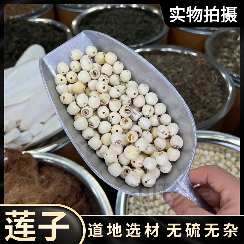 莲子 磨皮去芯无心莲子莲子散装颗粒饱满口感香糯另售百合