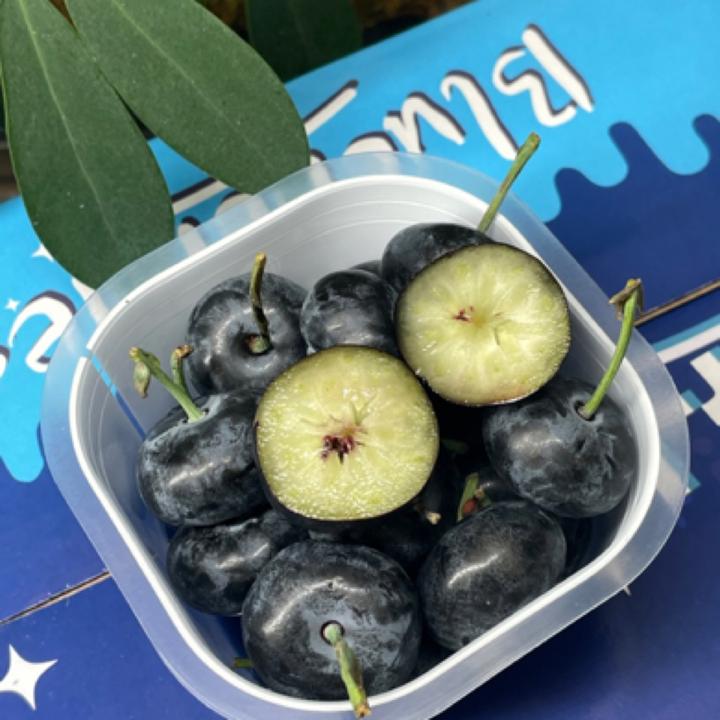 【当季限定】云南大宝宝杯蓝莓22～24mm超大果王，新鲜绿杆，又脆又甜！