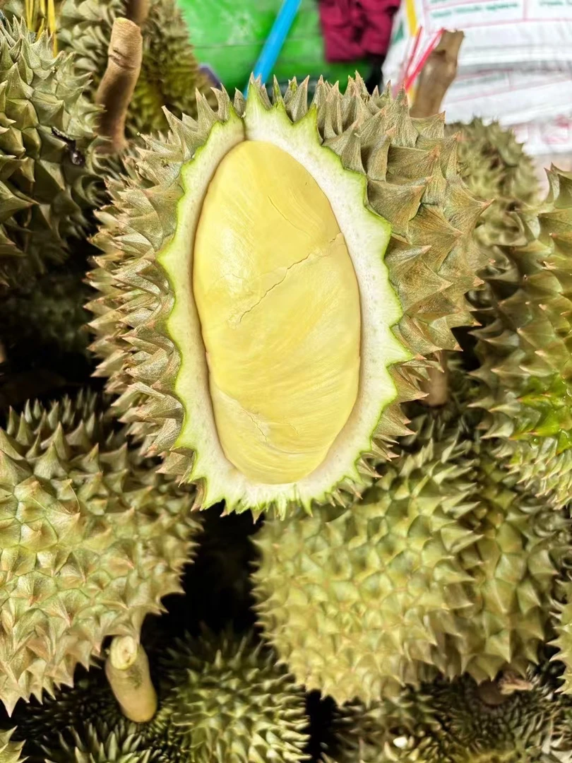 泰国金枕榴莲一物一拍