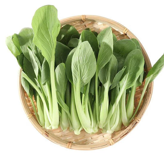上海青苗 600g