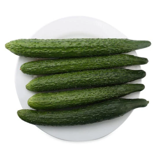 黄瓜 1kg/份黄瓜同城送黄瓜同城配
