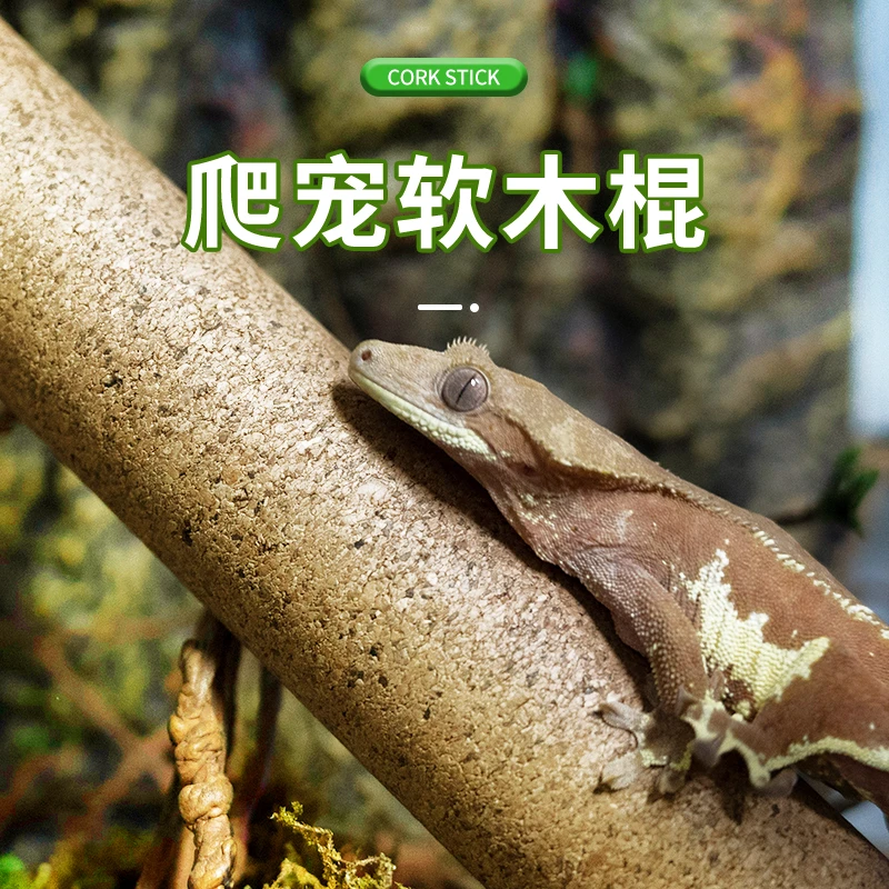 REPTIZOO/瑞皮玩酷爬宠饲养箱软木棍攀爬虫缸属睫角守宫树栖场景