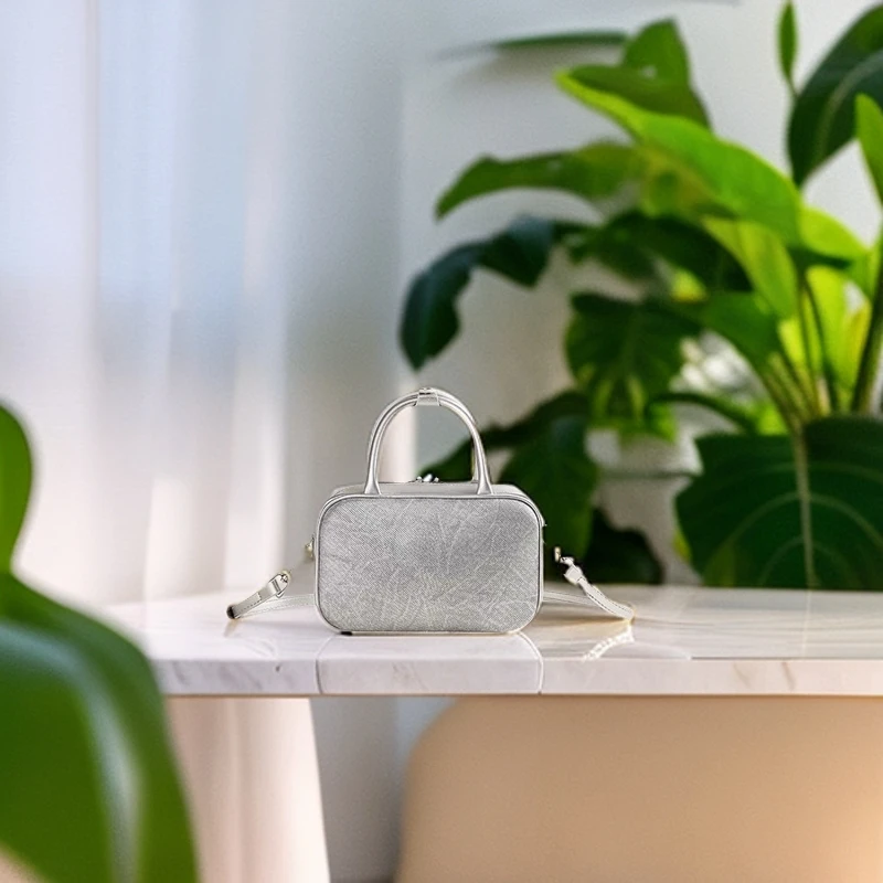 波士顿女包2024新款法式小众斜挎枕头包高级感百搭手提包女