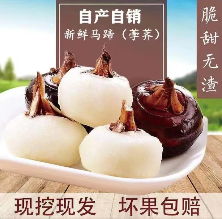 新鲜马蹄脆甜多汁带点泥巴发货荸荠当季水果煲汤马蹄
