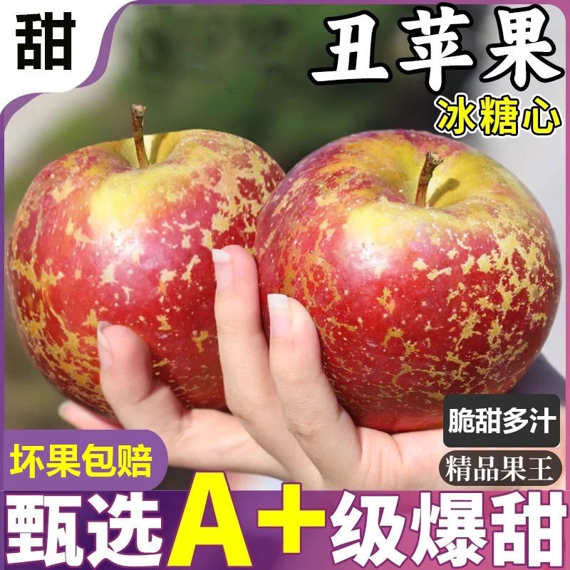 正宗现摘现发丑苹果心丑冰糖当季新鲜水果红富士脆甜批发整箱