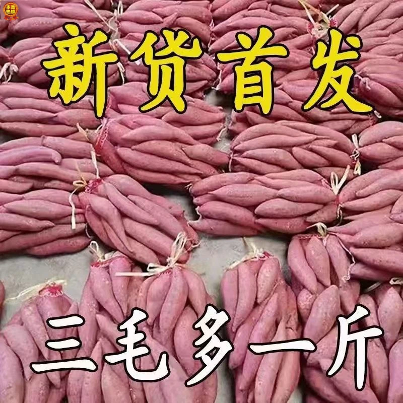 【抢购中】超甜沙地红薯1-9斤新鲜红黄蜜薯板栗薯地瓜番薯蔬菜水果