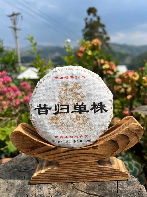 单株【昔归忙麓山】18年昔归核心区头春百年古树单株单采100克饼茶
