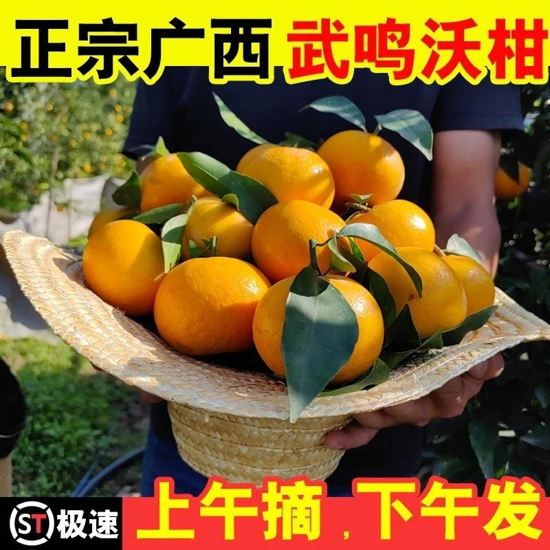 正宗广西武鸣沃柑超甜新鲜薄皮多汁橘子当季新鲜水果广西沃柑