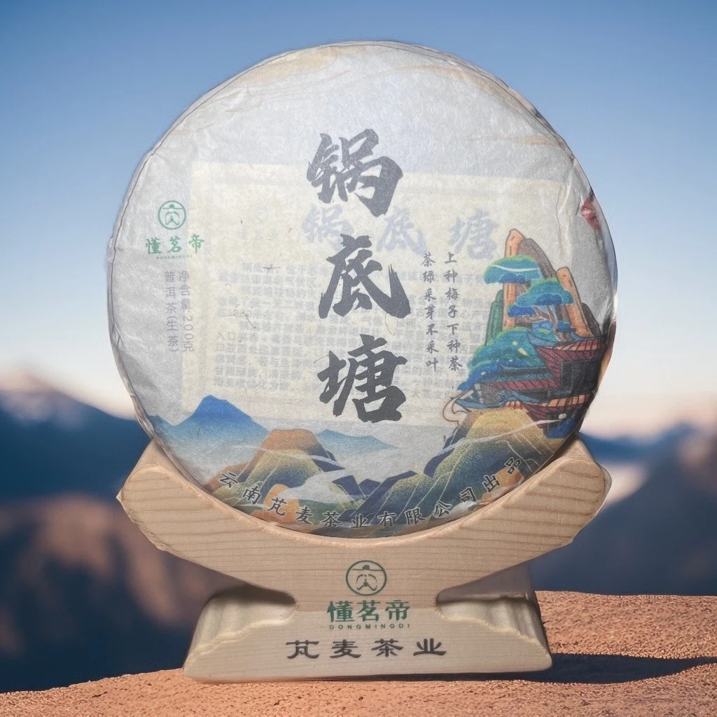 懂茗帝锅底茶 古树普洱茶生茶 大种茶欢迎品鉴生普茶饼出品