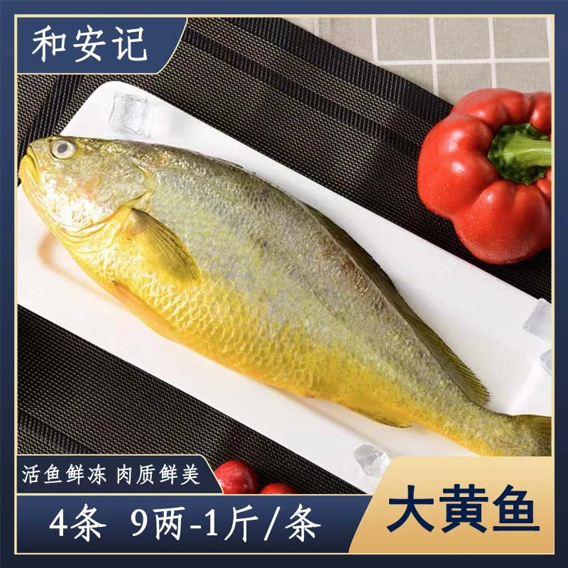 [和安记]大黄花鱼新鲜活鱼速冻4条（9两－1斤左右/条） 连云港发货