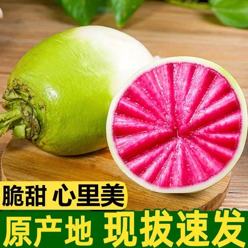 心里美萝卜水果型新鲜红萝卜生吃甜脆红心青萝卜水果萝卜
