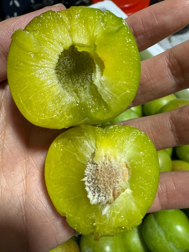 甜脆脱骨半边红李子
