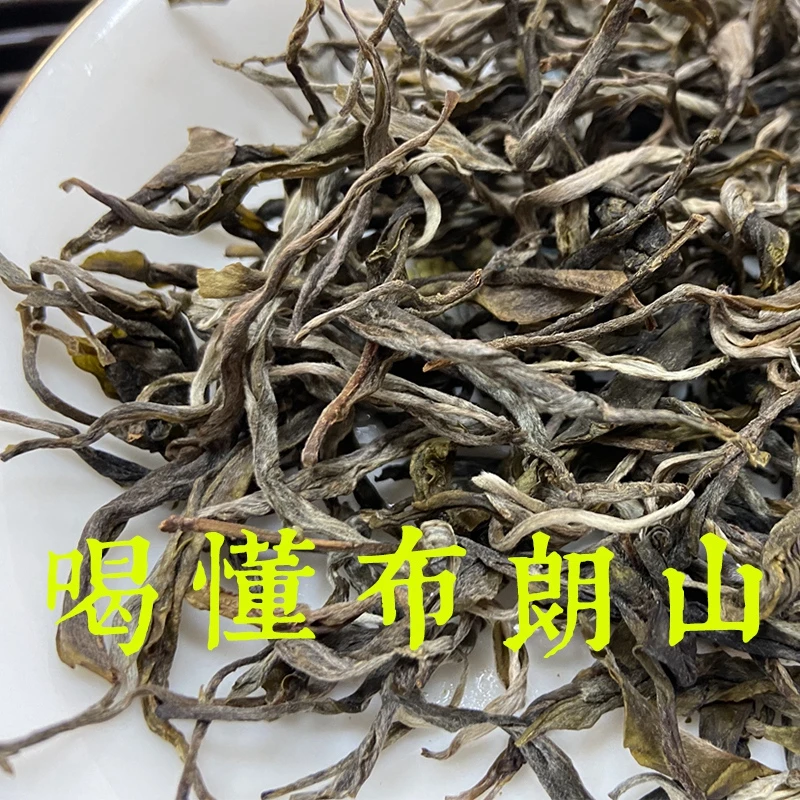 C级】2021年春茶布朗山普洱茶生茶散茶入门级一斤500克装