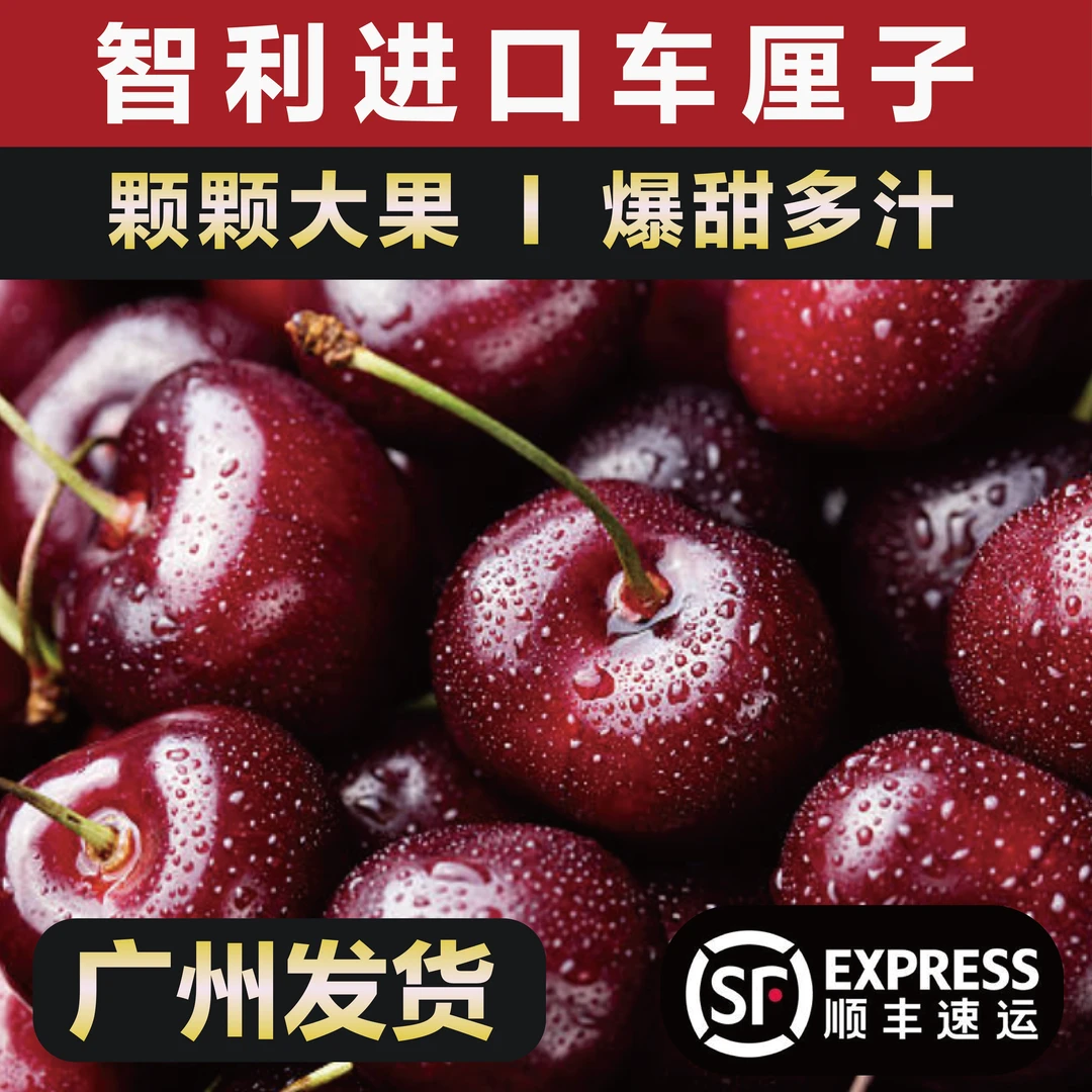 【靓货补贴S】智利车厘子桑缇娜高档新鲜进口水果1J-4J甜脆1-5斤