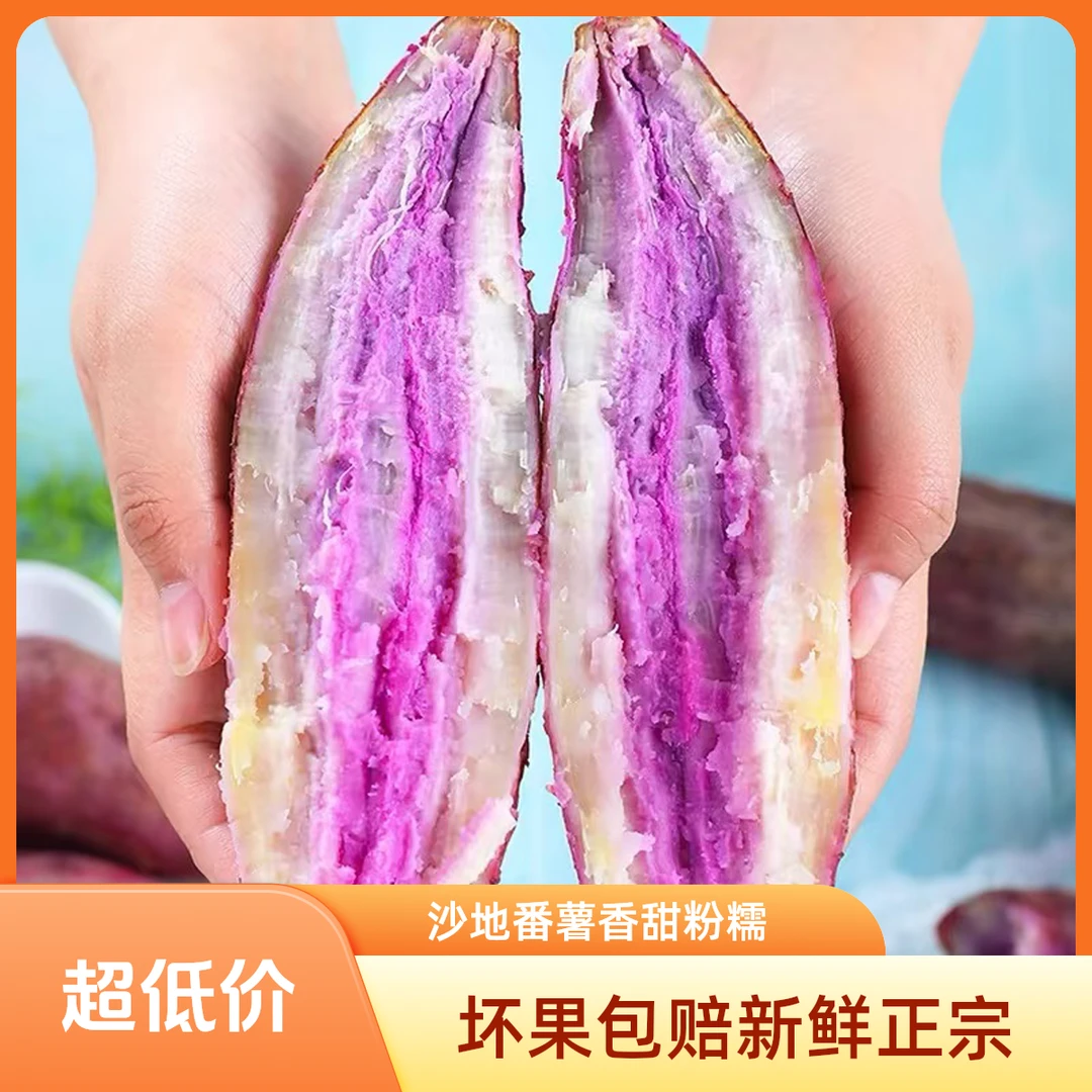 正宗沙地农家自种坏果包赔新鲜沙地种植香甜粉糯冰淇淋红薯紫薯